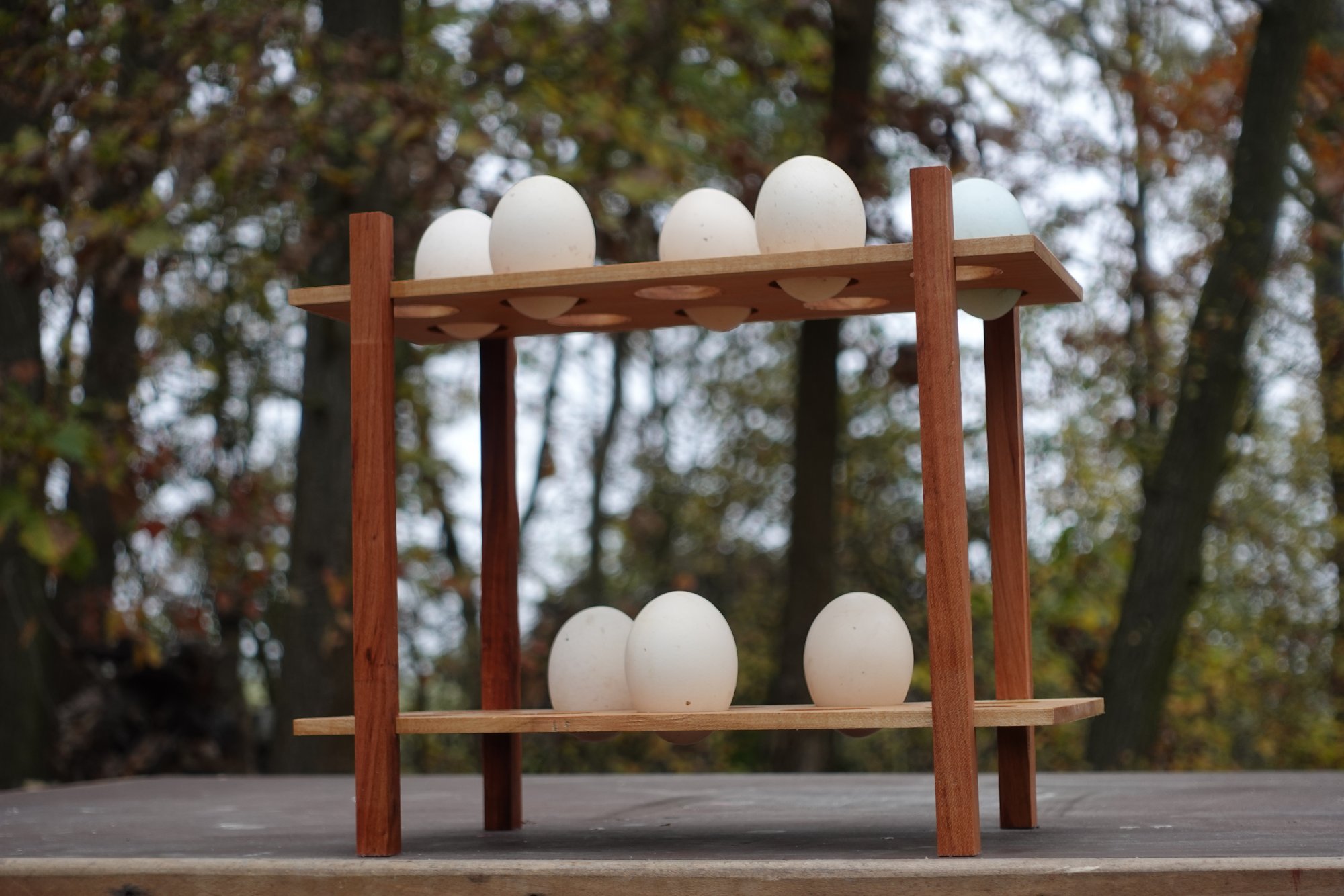 Eierregal aus Kirsch- und Pflaumenholz Eierregal aus Kirsch- und Pflaumenholz